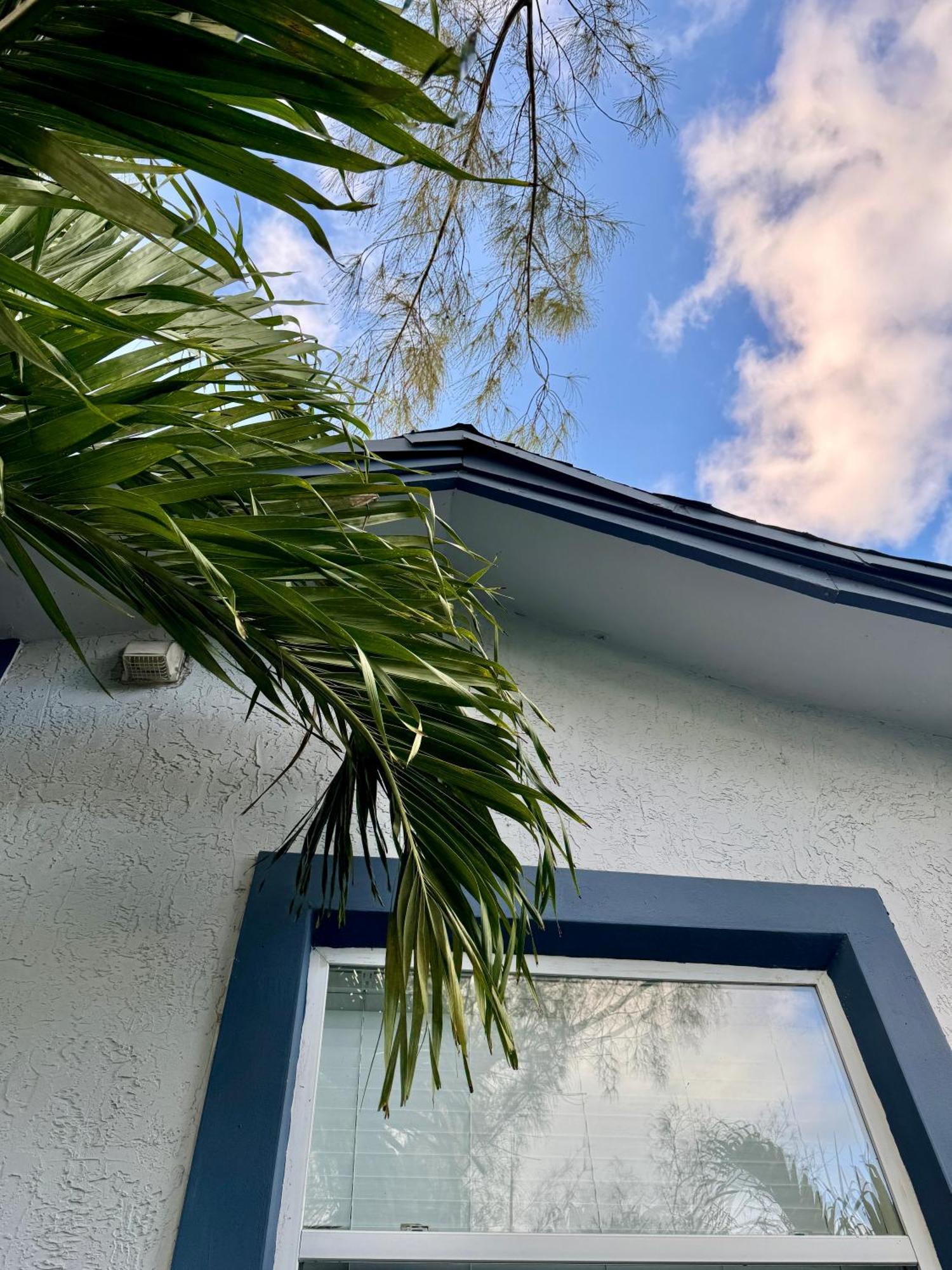 Private Rooms At Miami Centrally Located With Free Parking Exteriér fotografie