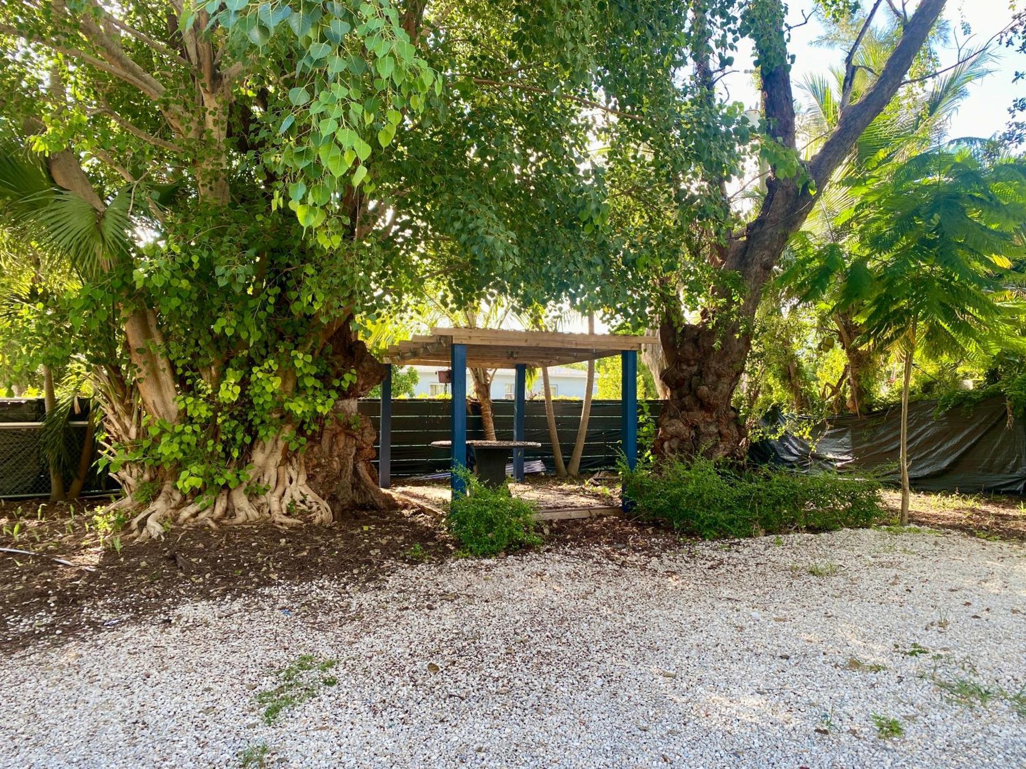 Private Rooms At Miami Centrally Located With Free Parking Exteriér fotografie